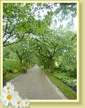 StValery_LLA_14.05.2015 (28)